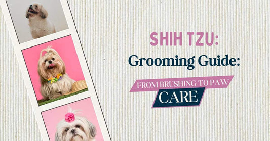 Shih Tzu Grooming Tips: Keep Your Furry Friend Looking Fabulous! - MaePaws