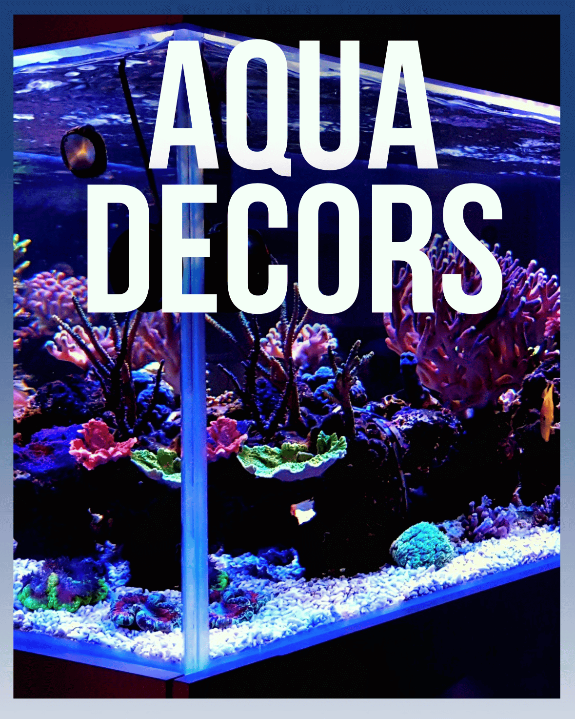 Aqua Decors - MaePaws