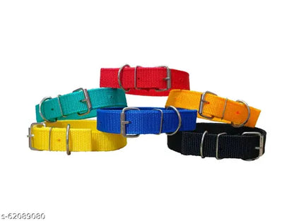 1-Inch Double Layered PP Collar Belts – Pack of 6