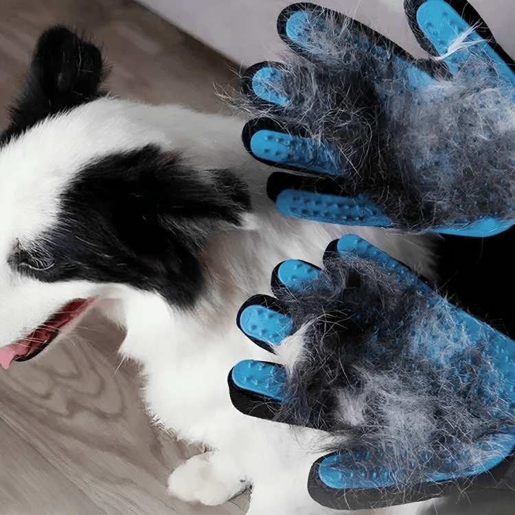 Breedo Dog & Cat Grooming Combo – Anti-Itch Shampoo & Gloves (Combo) - MaePaws