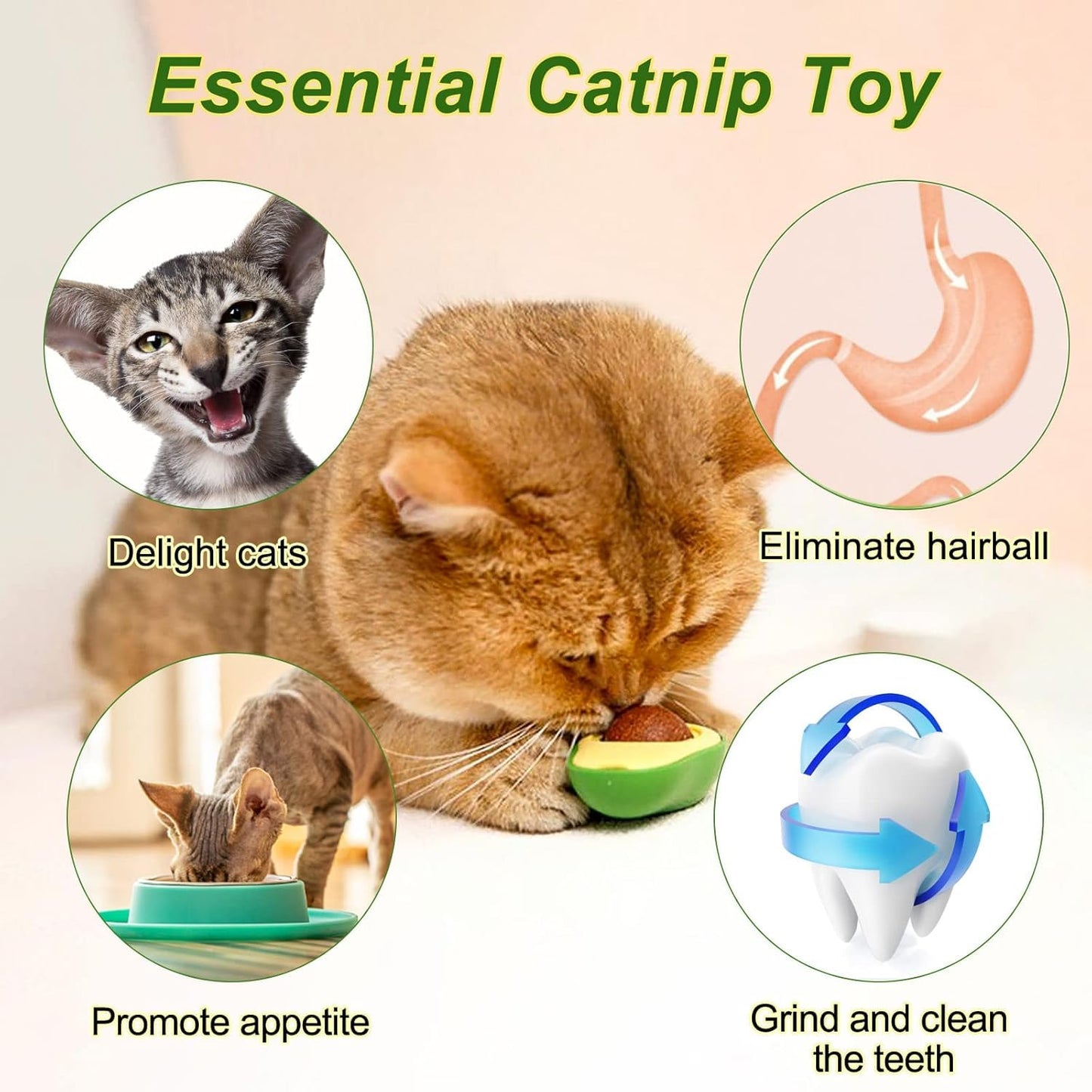 Catnip Toy – Rotatable Mint Ball Chew Treat for Cats