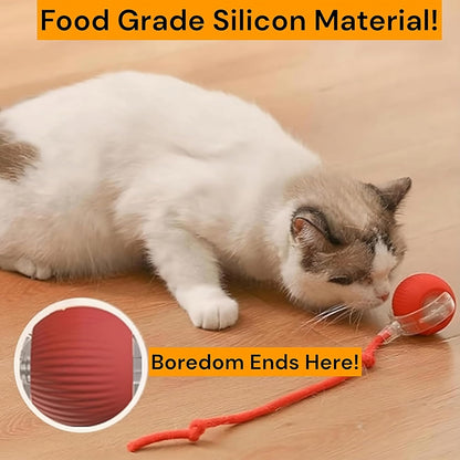 Interactive Cat & Dog Ball Toy – Smart Self-Rolling Pet Ball