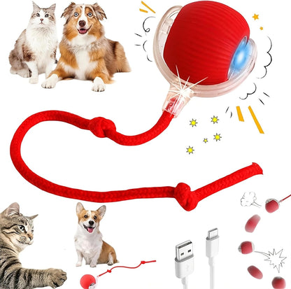 Interactive Cat & Dog Ball Toy – Smart Self-Rolling Pet Ball