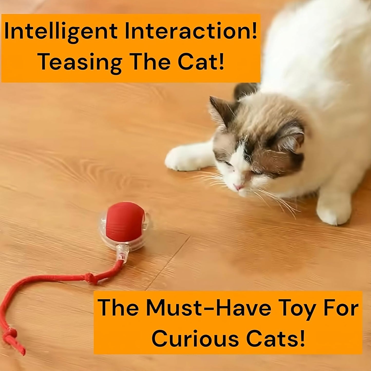 Interactive Cat & Dog Ball Toy – Smart Self-Rolling Pet Ball