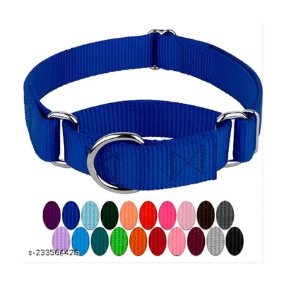 SUPER CHAIN High Soft Quality Everyday Dog Collar (Large, Blue) - MaePaws