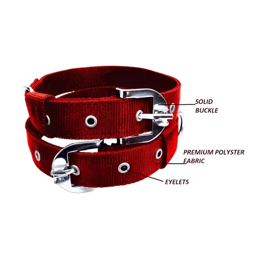 Dog Collar Combo Pack of 2PC – High-Quality & Adjustable - MaePaws