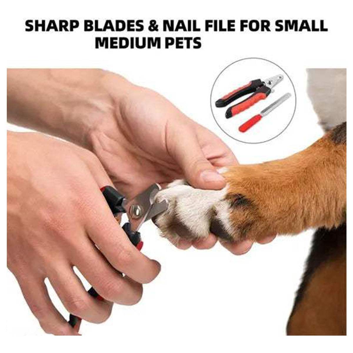 Professional Nail Clipper for Dogs and cats - MaePaws