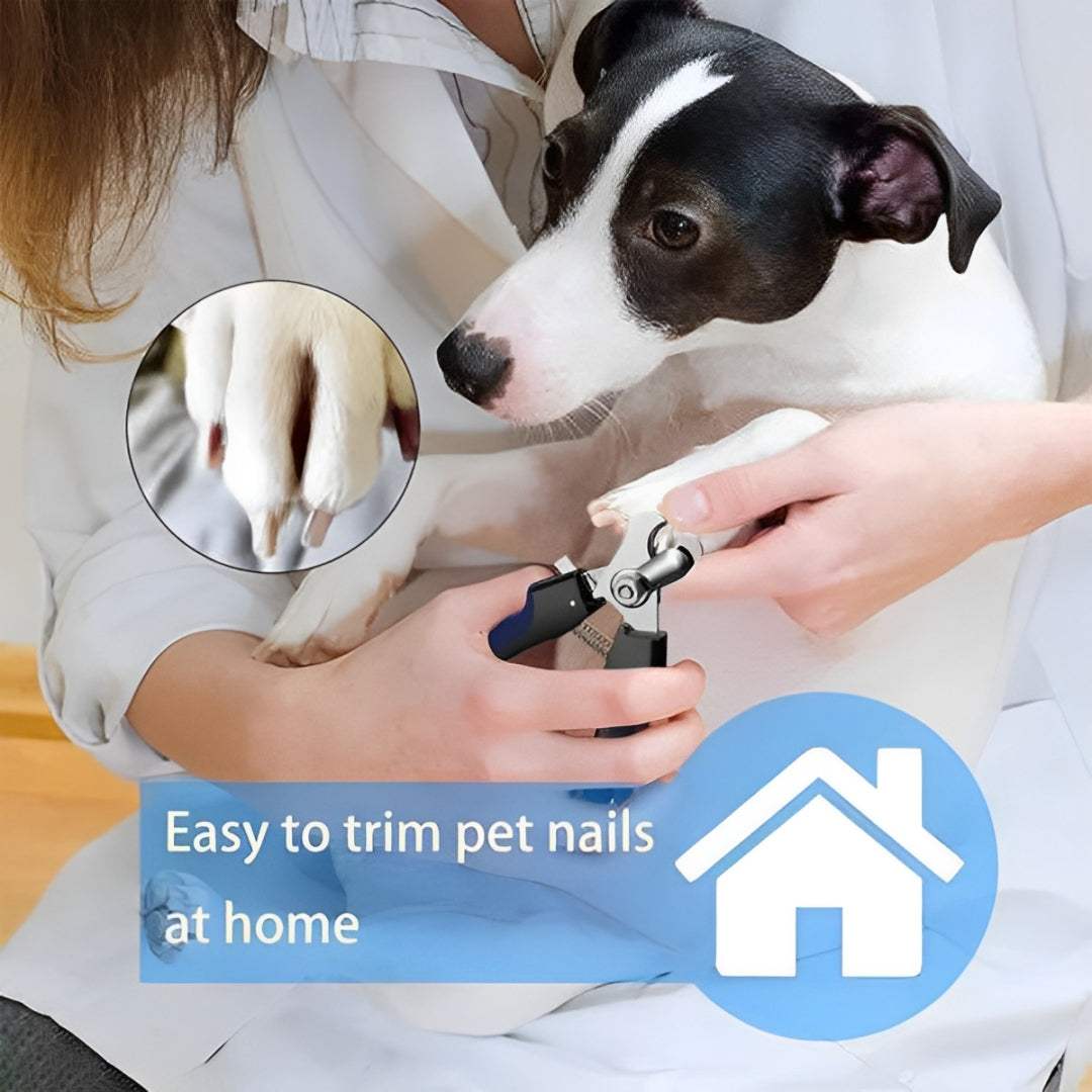 Professional Nail Clipper for Dogs and cats - MaePaws