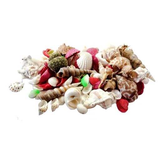 Natural Mix Seashells – Aquarium Decor (250g) - MaePaws