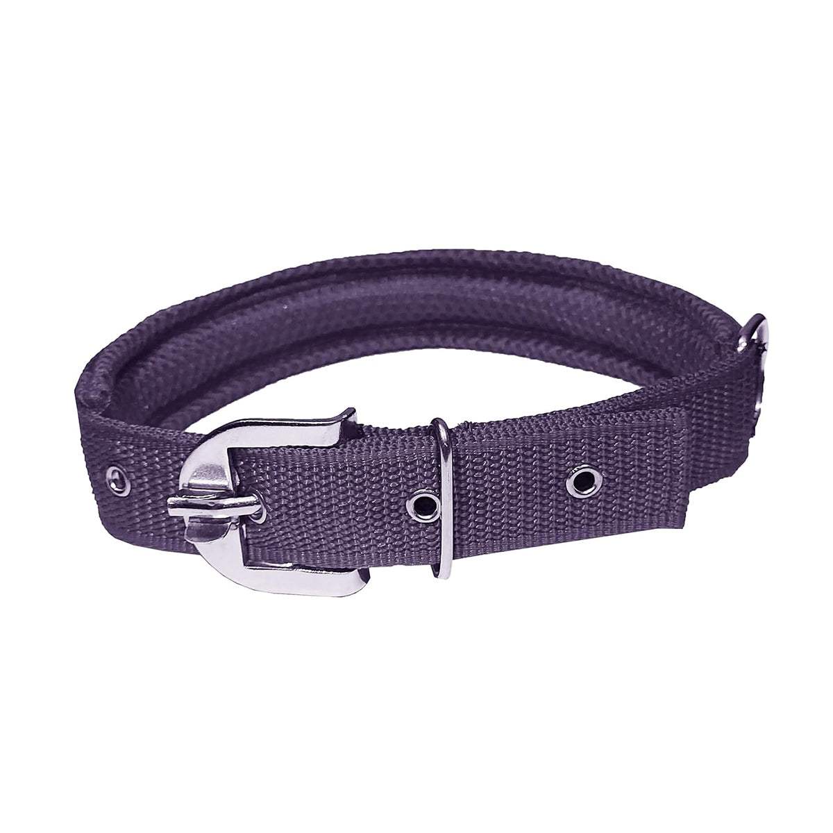 Petshop7 Nylon Mesh Padded Dog Collar & Leash – Adjustable & Durable - MaePaws