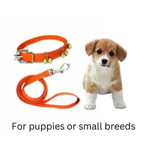 Nylon Dog Ghungroo Collar & Leash Set – For Small Puppies & Dogs - MaePaws