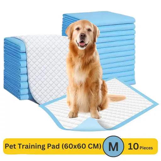 PH TIDY Disposable Pet Training Pads – 60x60 cm | Quick Dry & Leak-Proof - MaePaws