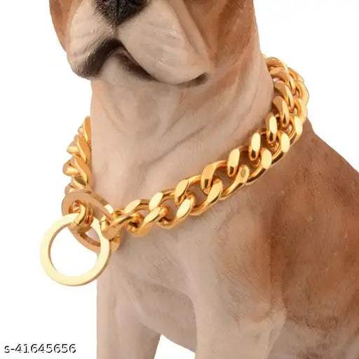 Classic Brass Dog Collar – Strong, Stylish & Durable - MaePaws