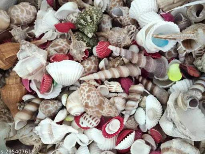 Natural Mix Seashells – Aquarium Decor (250g) - MaePaws