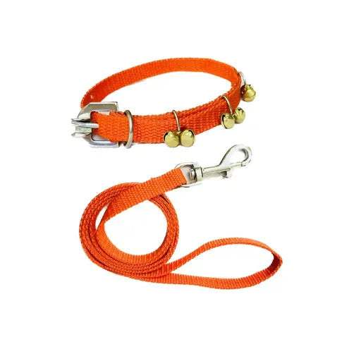 Nylon Dog Ghungroo Collar & Leash Set – For Small Puppies & Dogs - MaePaws