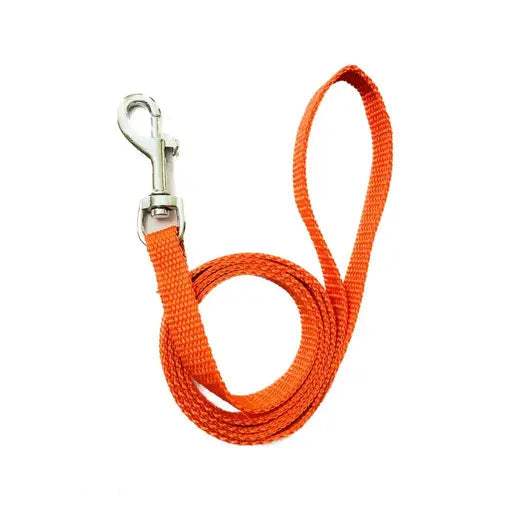 Nylon Dog Ghungroo Collar & Leash Set – For Small Puppies & Dogs - MaePaws