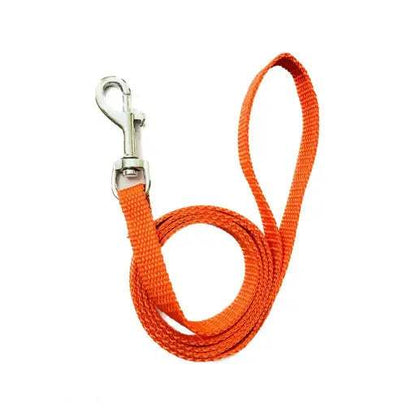 Nylon Dog Ghungroo Collar & Leash Set – For Small Puppies & Dogs - MaePaws