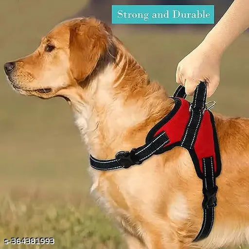 The Pets Popular Red Star Body Belt – Reflective, Adjustable & Comfortable