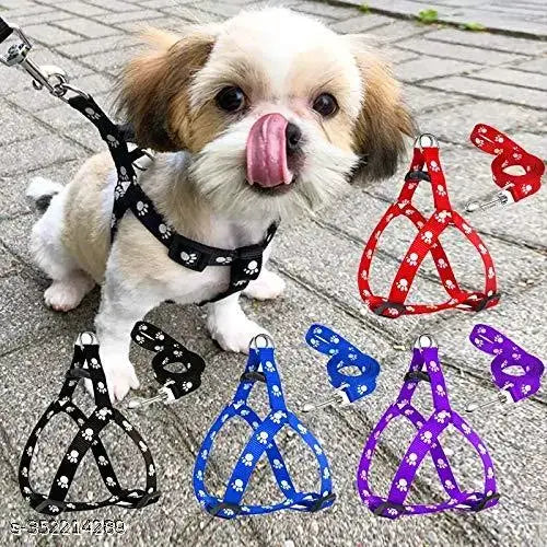 SMALL ONLY PUPPY Adjustable Leash & Harness Set – Printed Nylon (Small & Medium Dogs, 10MM)