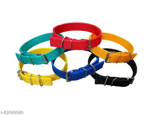 1-Inch Double Layered PP Collar Belts – Pack of 6