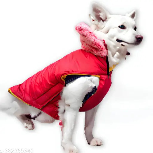 Paw & Style Winter Jacket – Cozy, Stylish & Weather-Resistant!